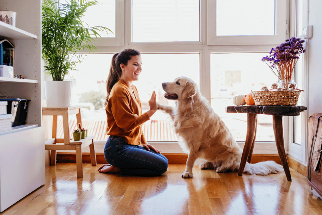 indoor air quality and pets